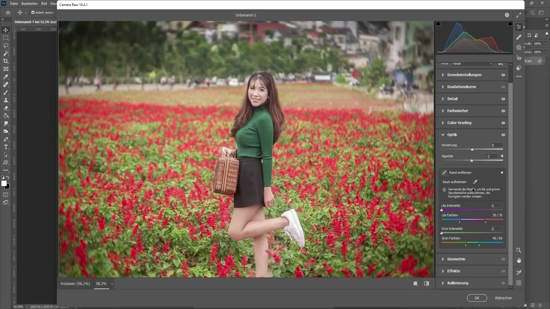 Photoshop 기술 : Camera Raw 필터 기능 2 부 - 헤이즈, 색상 등