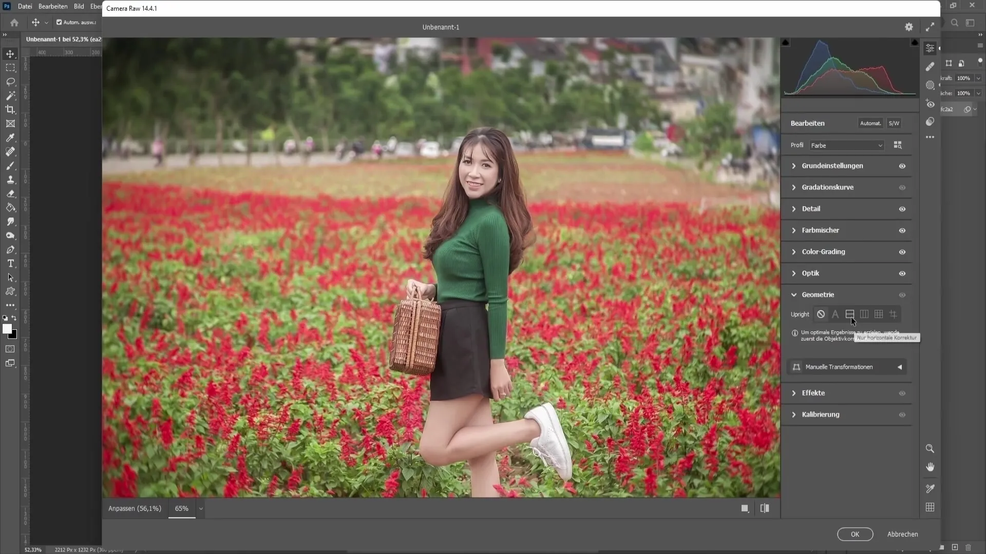 Photoshop 기술 : Camera Raw 필터 기능 2 부 - 헤이즈, 색상 등