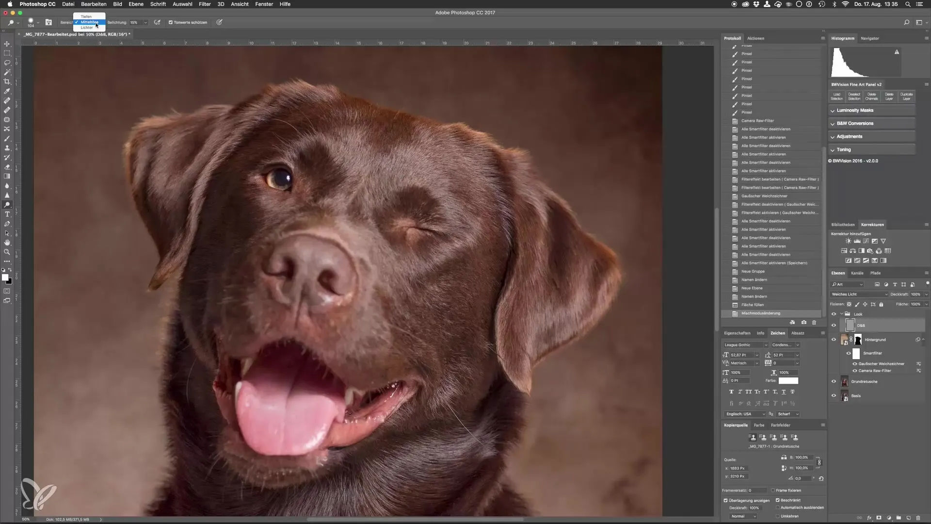 Dodge y Burn para retratos impresionantes de perros en el estudio Dodge and Burn para impresionantes retratos de perros en el estudio