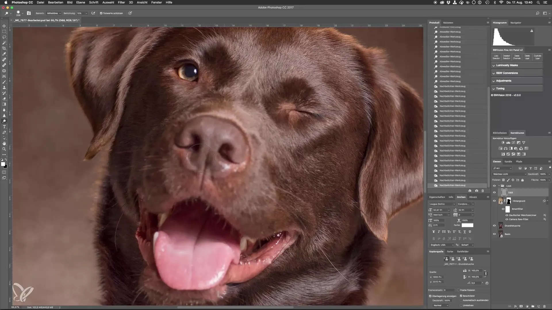 Dodge-and-Burn para retratos impresionantes de perros en el estudio Dodge-and-Burn para retratos impactantes de perros en el estudio