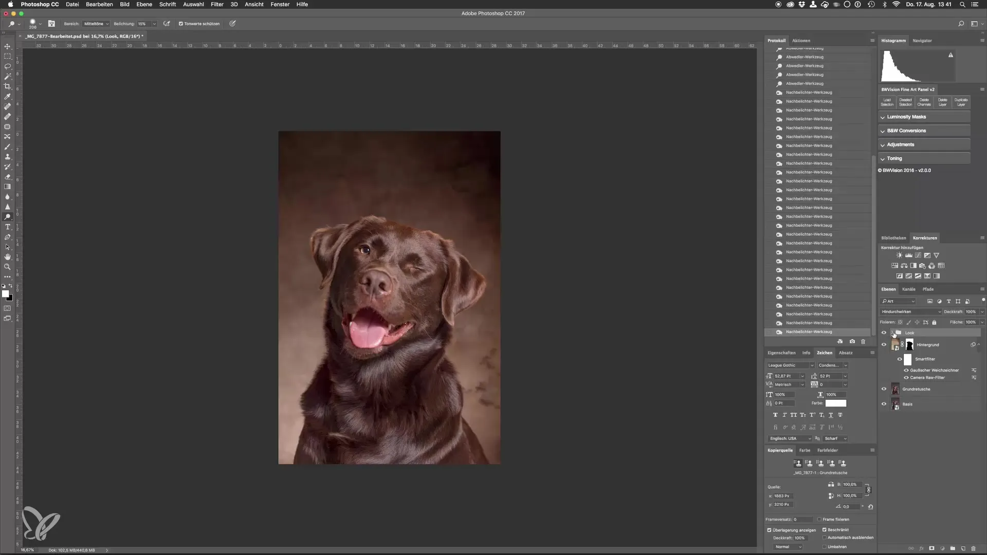 Dodge-and-Burn para retratos impresionantes de perros en el estudio Dodge-and-Burn para retratos impresionantes de perros en estudio