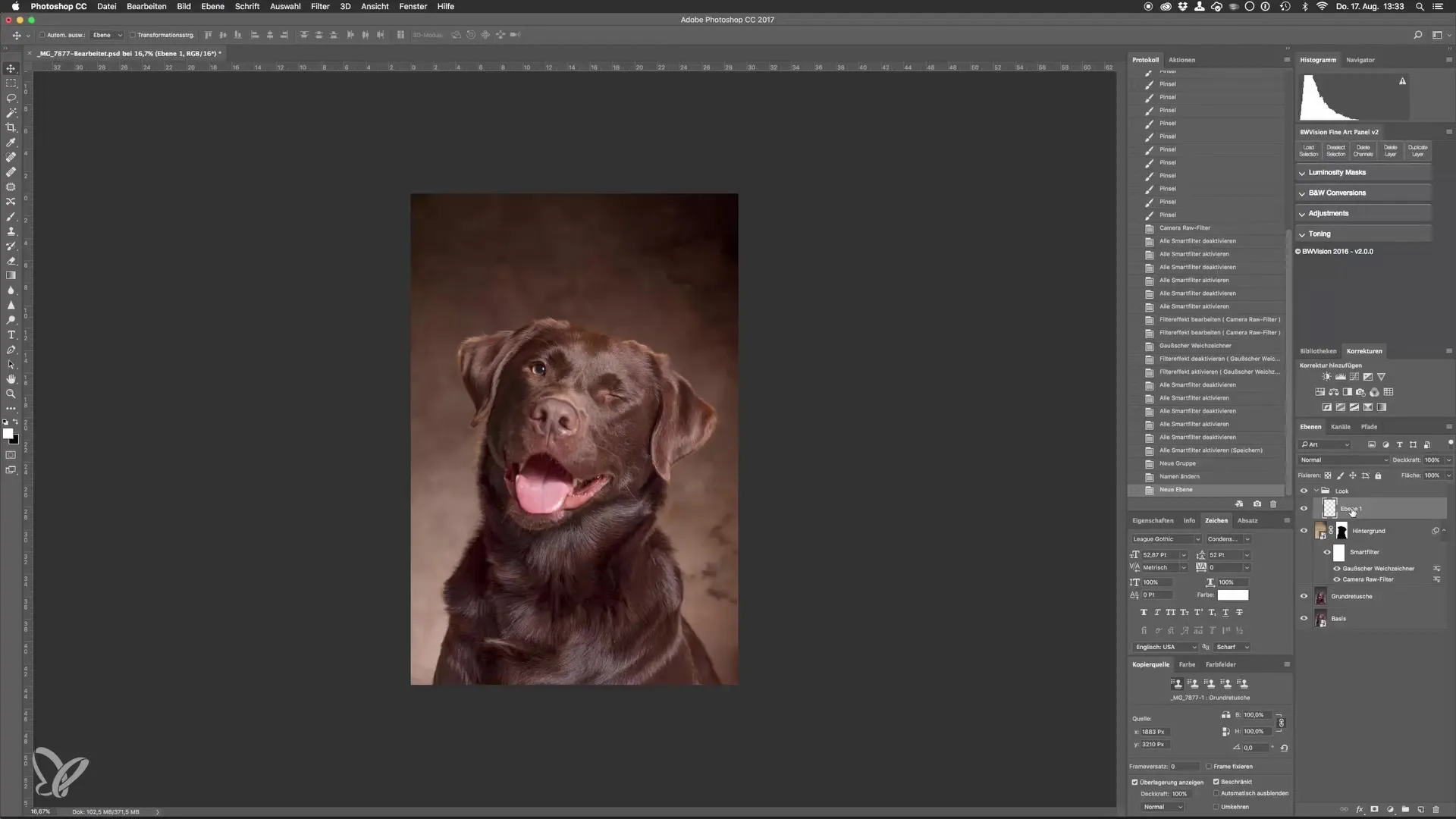 Dodge-and-Burn para retratos impresionantes de perros en el estudio Dodge-and-Burn para retratos de perros impresionantes en el estudio