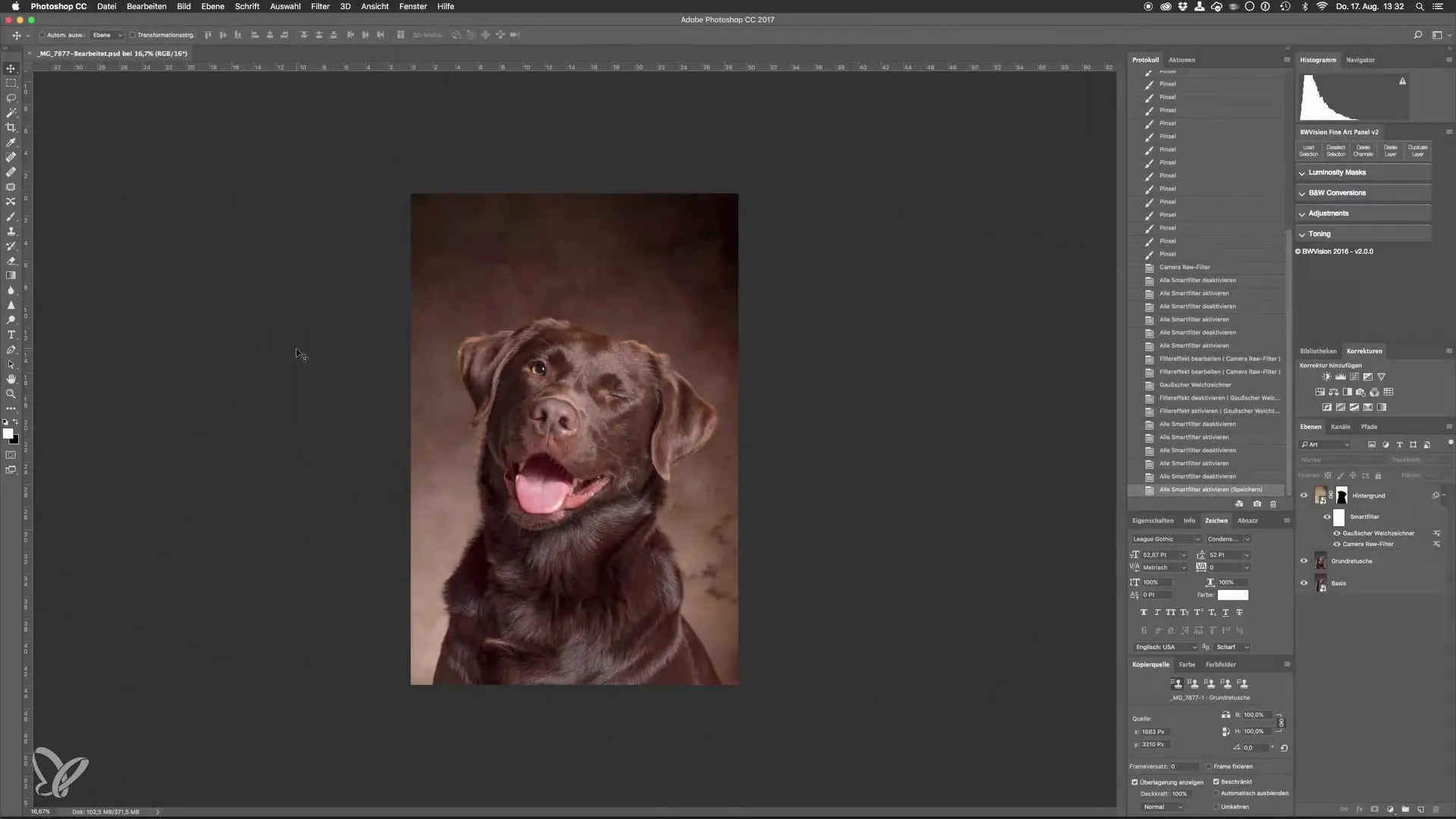 Dodge-and-Burn para retratos impresionantes de perros en el estudio Dodge-and-Burn para retratos de perros impresionantes en el estudio