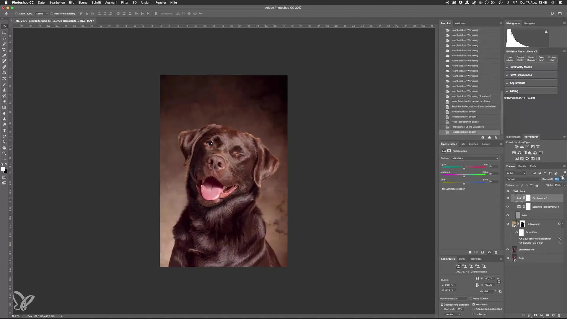 Ajuste perfecto de retratos de perros en el estudio Ajustar perfectamente los retratos de perros en el estudio