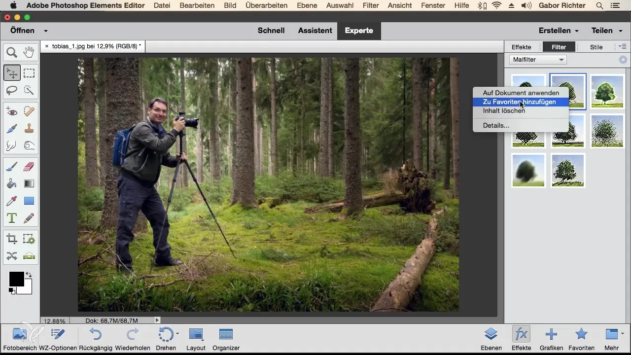 Photoshop Elements: Metodi di lavoro efficienti con la barra delle attività dei livelli Photoshop Elements: Metodo di lavoro efficiente con la barra delle attività dei livelli