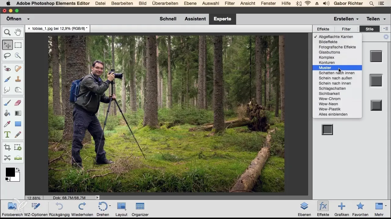Photoshop Elements: Metodo di lavoro efficiente con la barra delle attività dei livelli Photoshop Elements: Approccio efficiente con la barra delle attività dei livelli