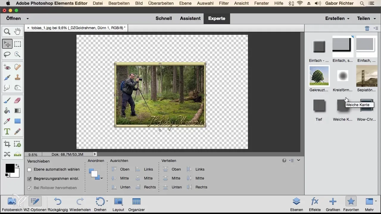 Photoshop Elements: Metodo di lavoro efficiente con la barra delle attività dei livelli Photoshop Elements: Metodo di lavoro efficiente con la barra delle attività dei livelli