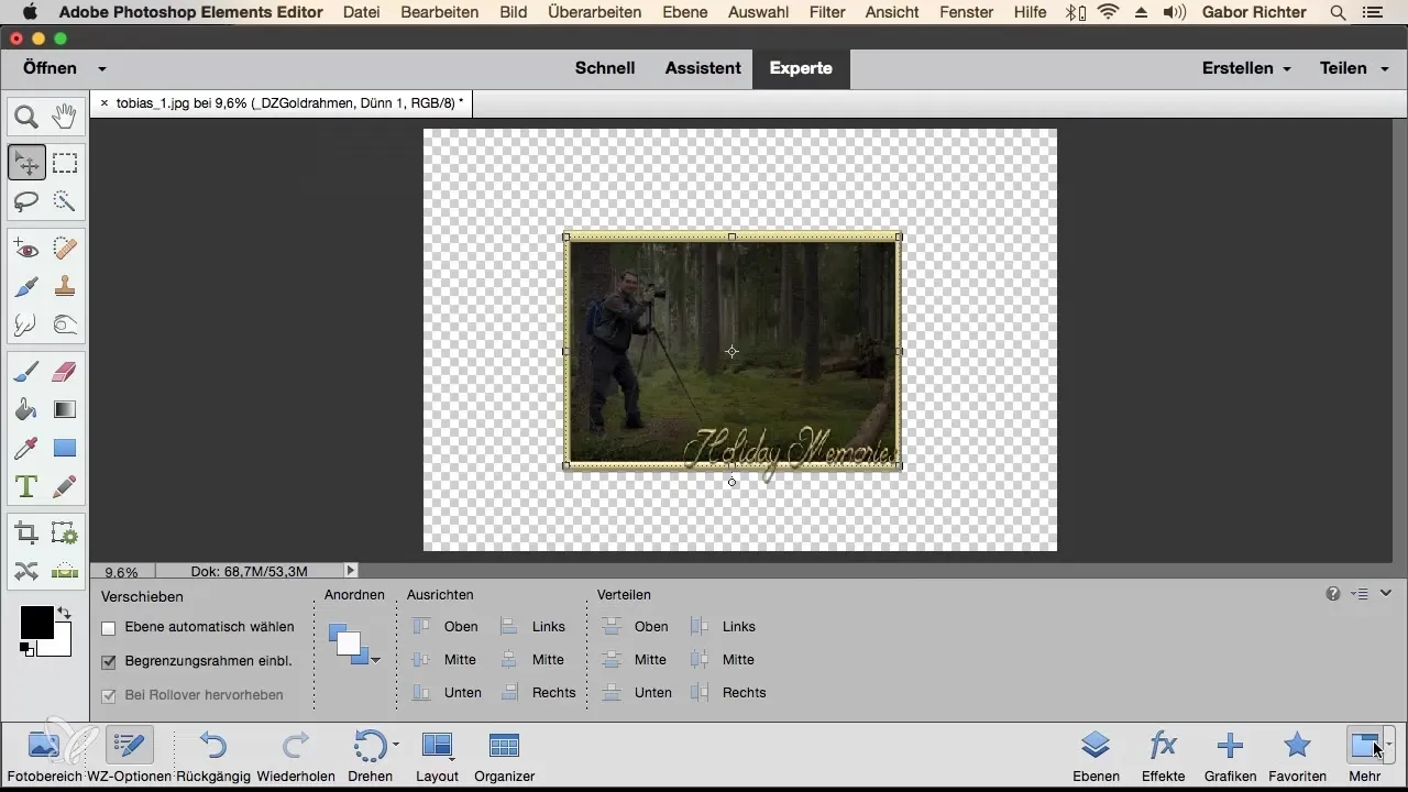 Photoshop Elements: Metodo di lavoro efficiente con la barra delle attività dei livelli Photoshop Elements: Un modo di lavorare efficiente con la barra delle attività dei livelli