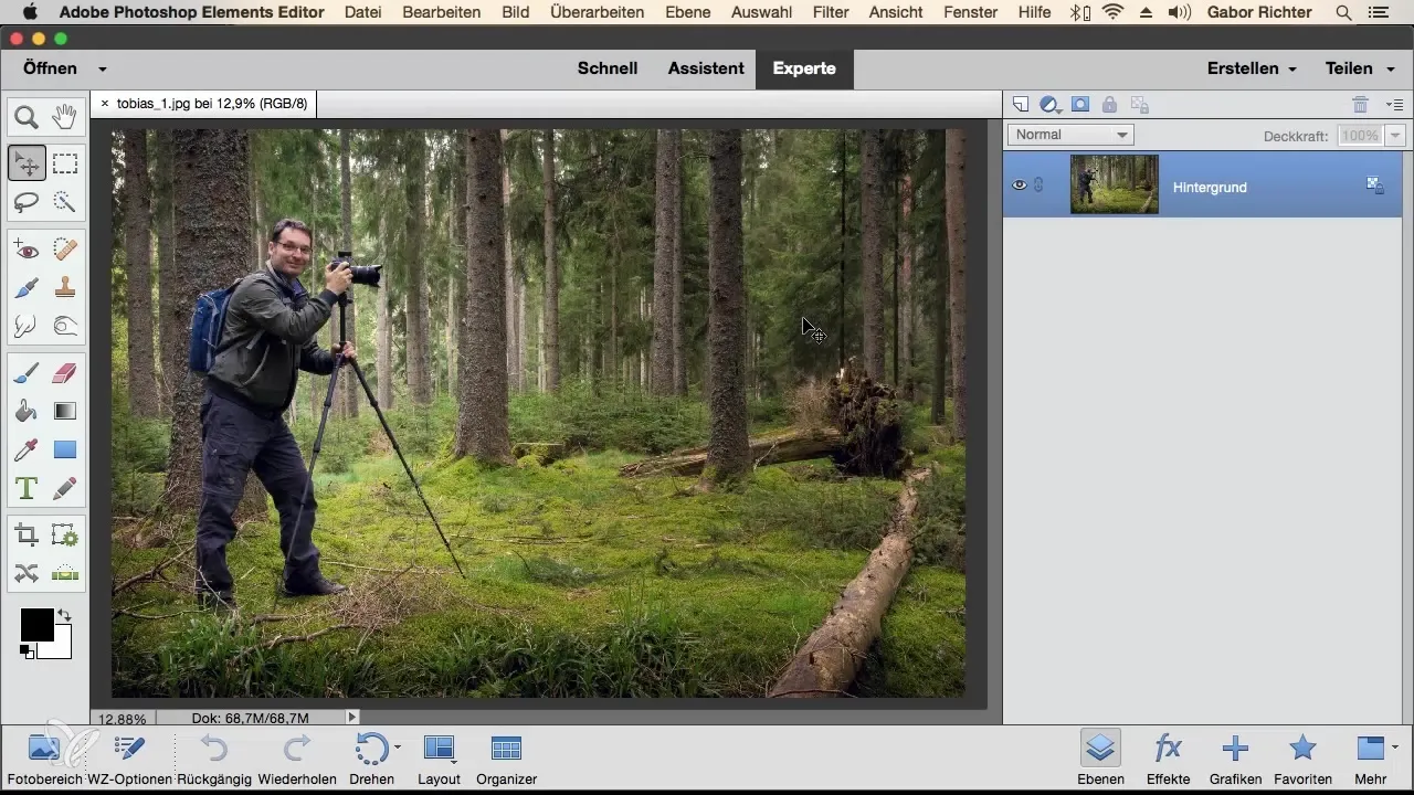 Photoshop Elements: Un modo di lavorare efficiente con la barra delle attività dei livelli Photoshop Elements: Modus di lavoro efficiente con la barra delle attività dei livelli