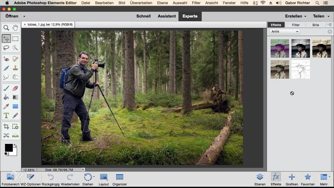 Photoshop Elements: Metodo di lavoro efficiente con la barra delle attività dei livelli Photoshop Elements: Modalità di lavoro efficiente con la barra delle attività dei livelli