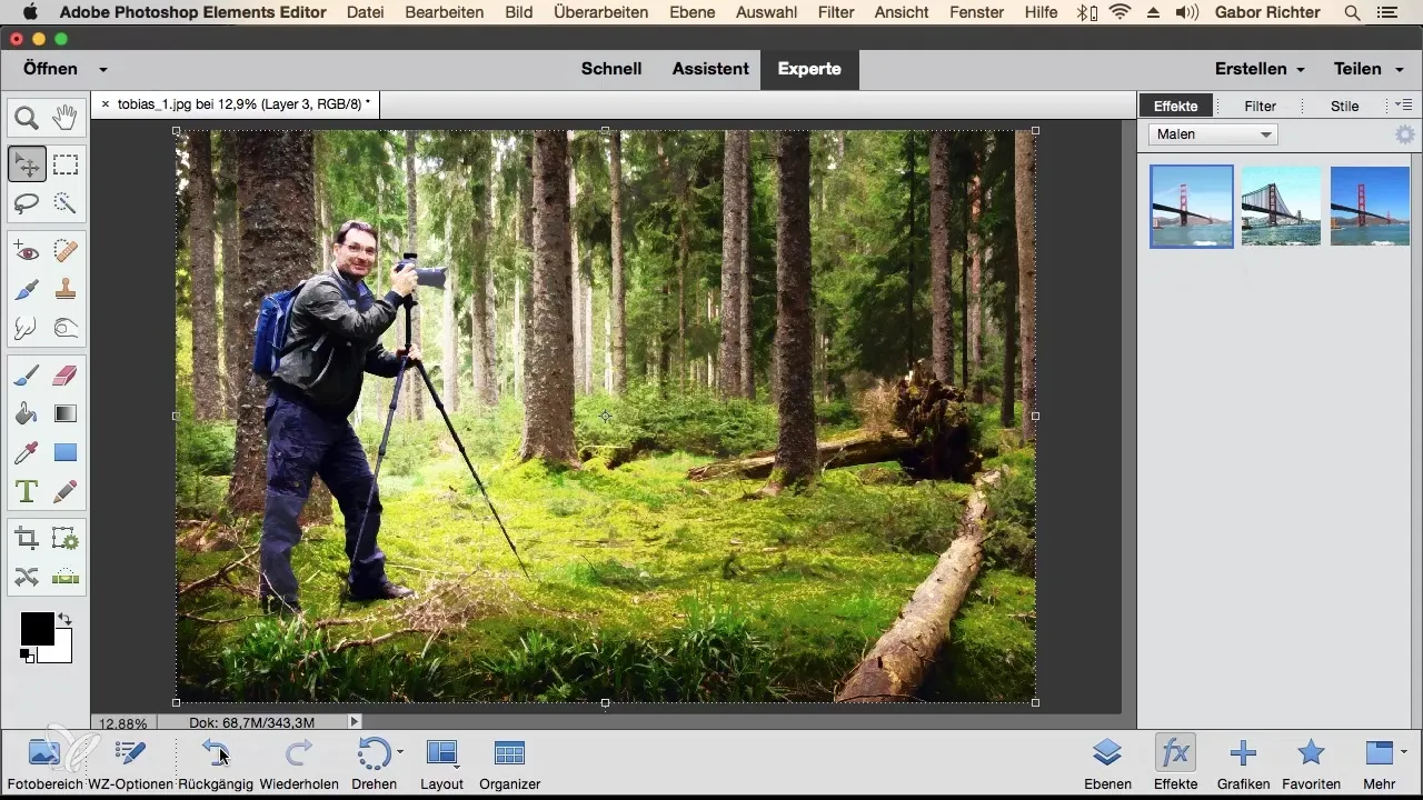 Photoshop Elements: Metodo di lavoro efficiente con la barra delle attività dei livelli Photoshop Elements: Metodo di lavoro efficiente con la barra delle attività dei livelli