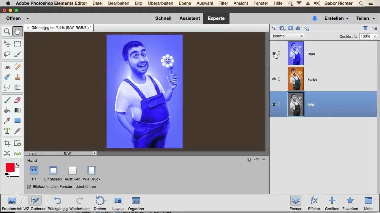 Utilizzare efficacemente i livelli in Photoshop Elements Utilizzare efficacemente i livelli in Photoshop Elements