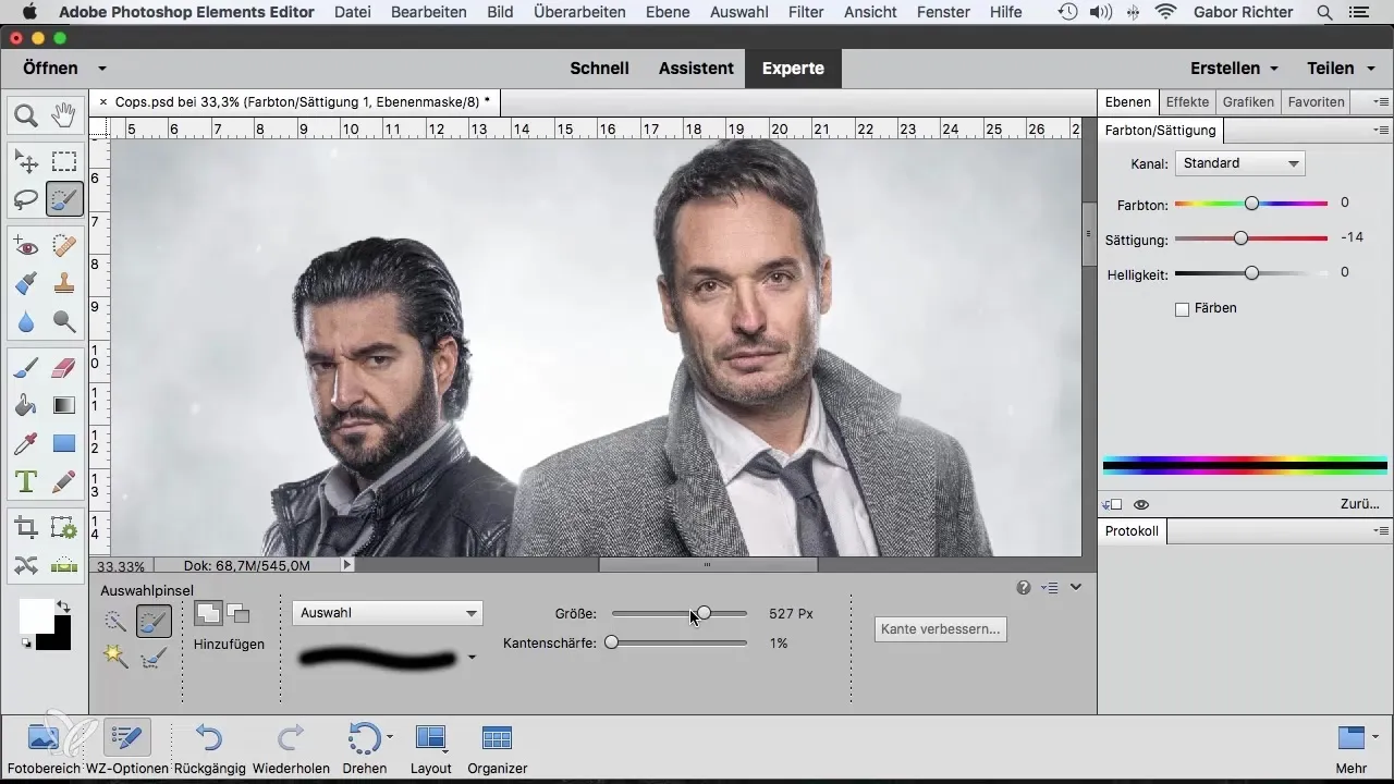 Utilizzo efficace del pennello di selezione in Photoshop Elements Utilizzo efficace del pennello di selezione in Photoshop Elements