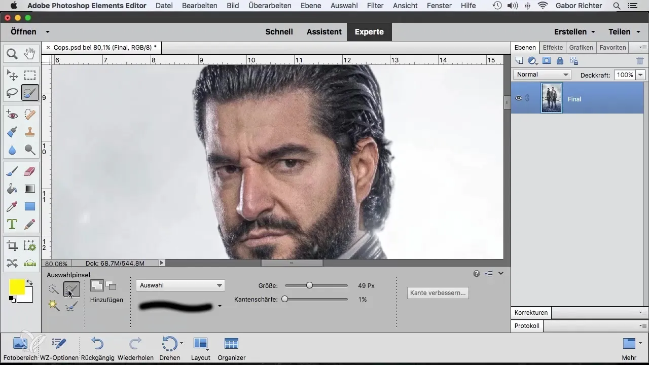 Utilizzo efficace del pennello di selezione in Photoshop Elements Utilizzo efficace del pennello di selezione in Photoshop Elements