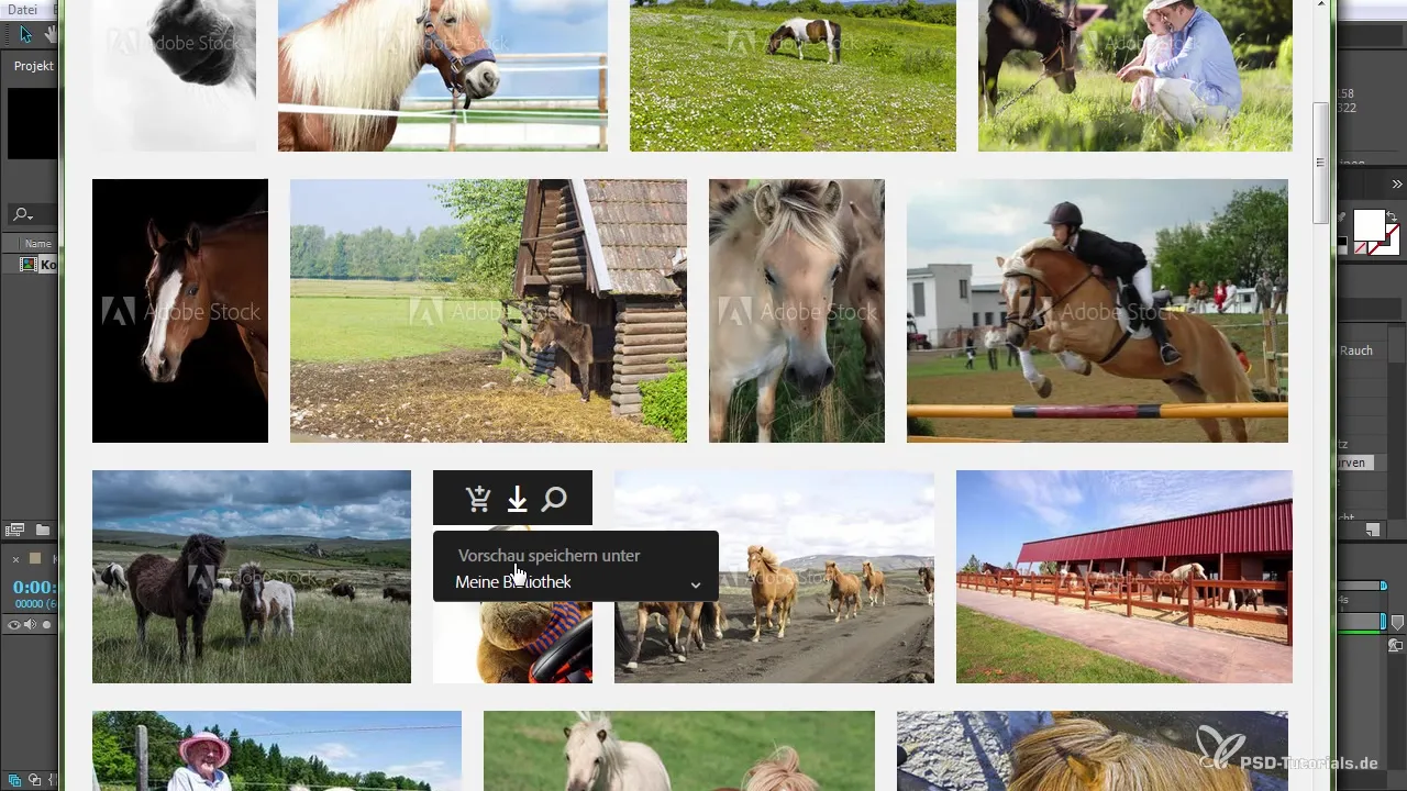 Use Adobe Stock efficiently in After Effects 2015 Use Adobe Stock efficiently in After Effects 2015