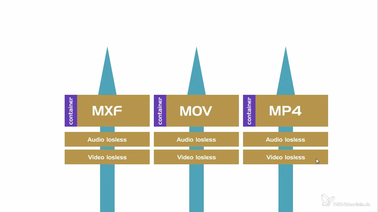 Modern import options in After Effects CC 2015.1 Modern import options in After Effects CC 2015.1