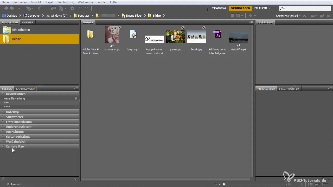 Effective Use of Adobe Bridge for Beginners Effective Use of Adobe Bridge for Beginners