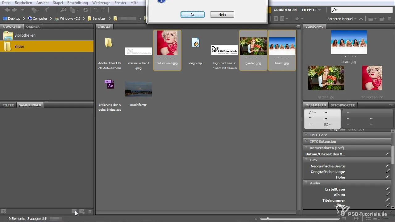 Effective Use of Adobe Bridge for Beginners Effective Use of Adobe Bridge for Beginners