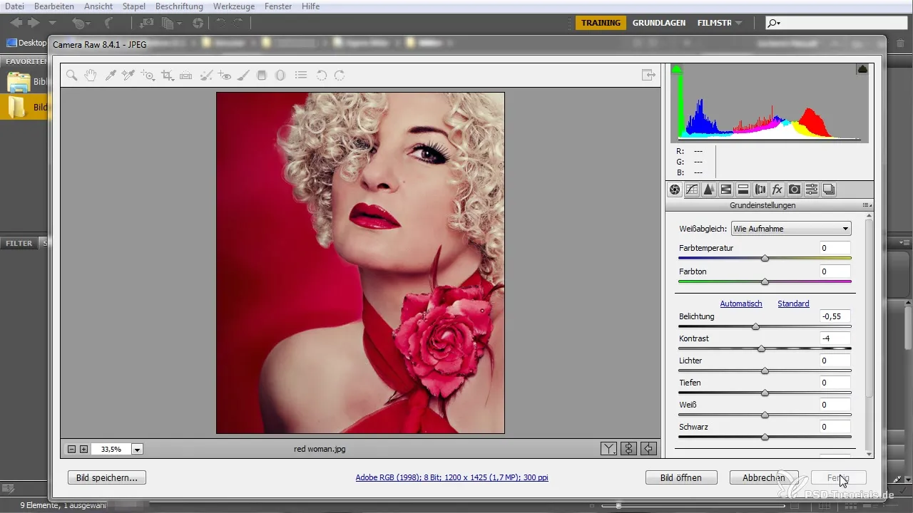 Effective Use of Adobe Bridge for Beginners Effective Use of Adobe Bridge for Beginners