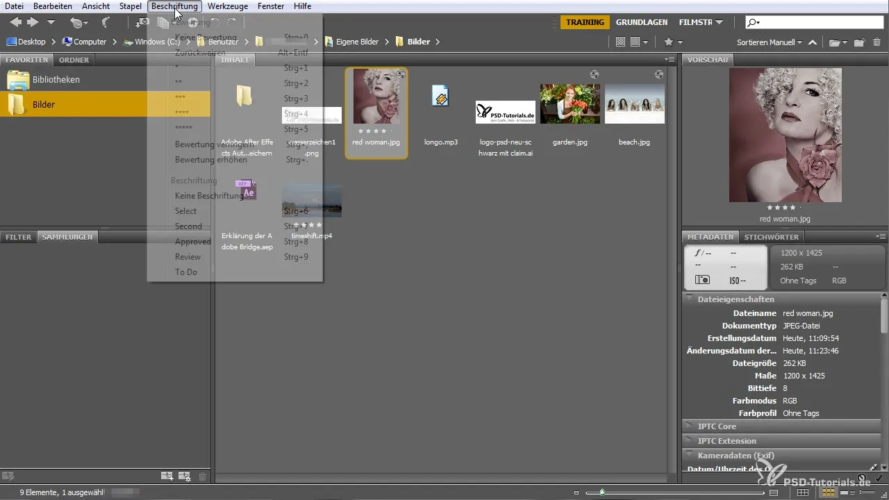 Effective Use of Adobe Bridge for Beginners Effective Use of Adobe Bridge for Beginners