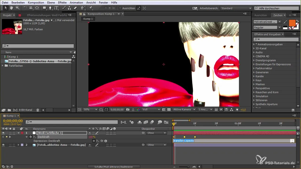 After Effects: Introduction and Use of Expressions After Effects: Introduction and Use of Expressions