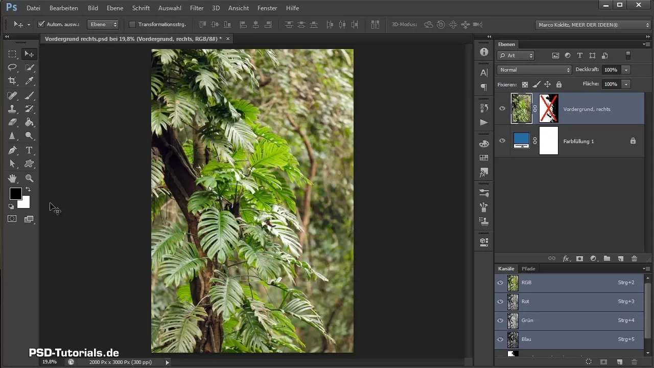 Rimozione efficace di oggetti dalle immagini in Photoshop Ritaglio efficace di oggetti immagine in Photoshop
