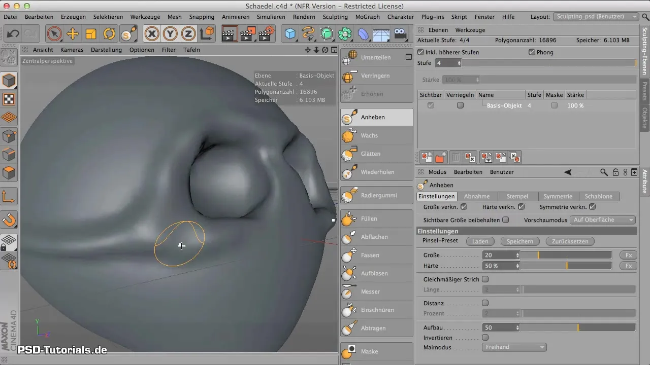 Zygomatic Bone Modeling in CINEMA 4D: Here's How to Do It Effectively Cheekbone Modeling in CINEMA 4D: How to Do It Effectively