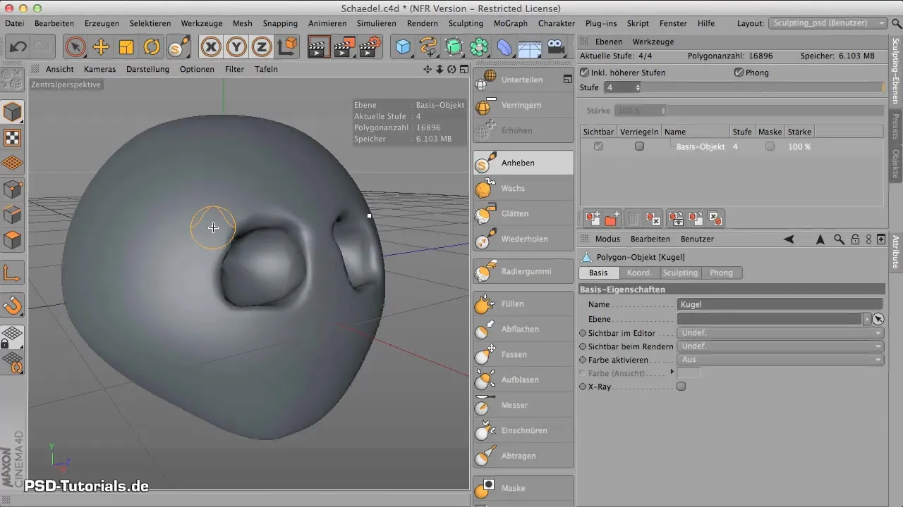 Zygomatic Bone Modeling in CINEMA 4D: How to Do It Effectively Jawbone Modeling in CINEMA 4D: Here’s How to Do It Effectively