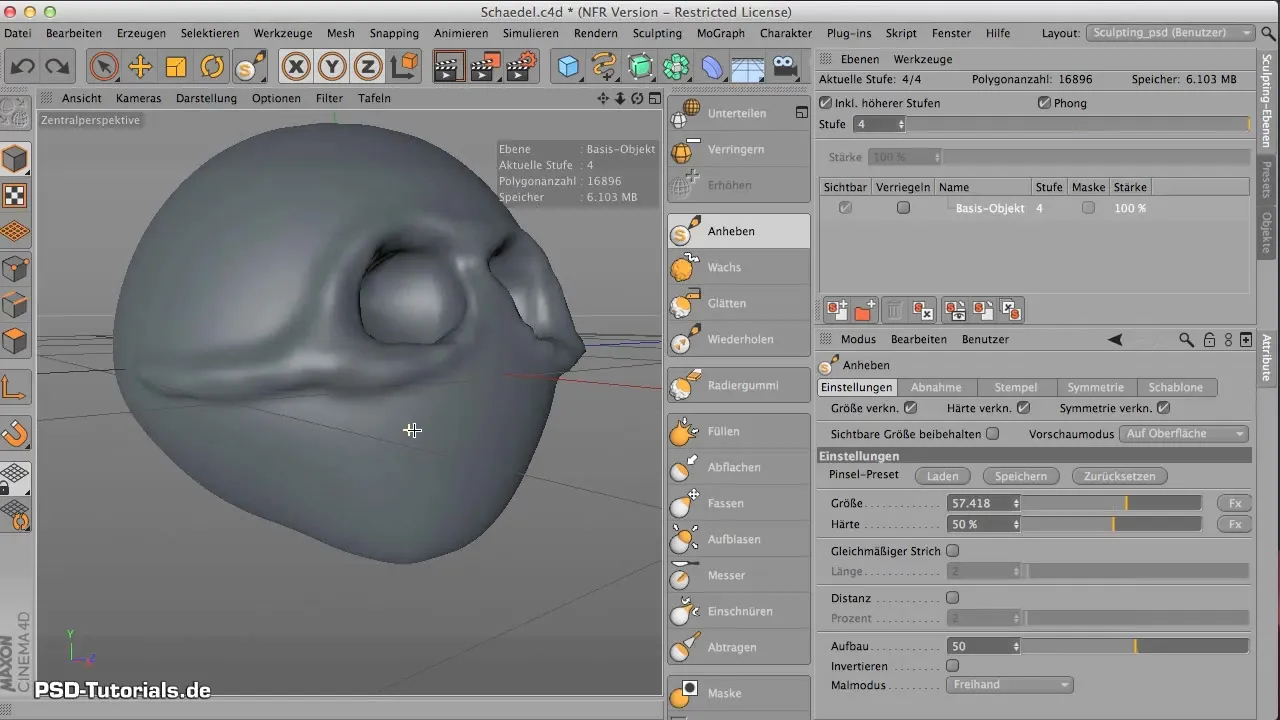 Skull base modeling in CINEMA 4D - Step by step Shaping Skull Base in CINEMA 4D - Step by Step