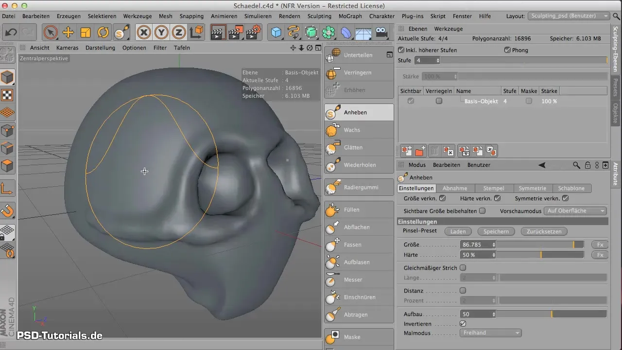Skull Base Shapes in CINEMA 4D - Step by Step Skull base modeling in CINEMA 4D - step by step