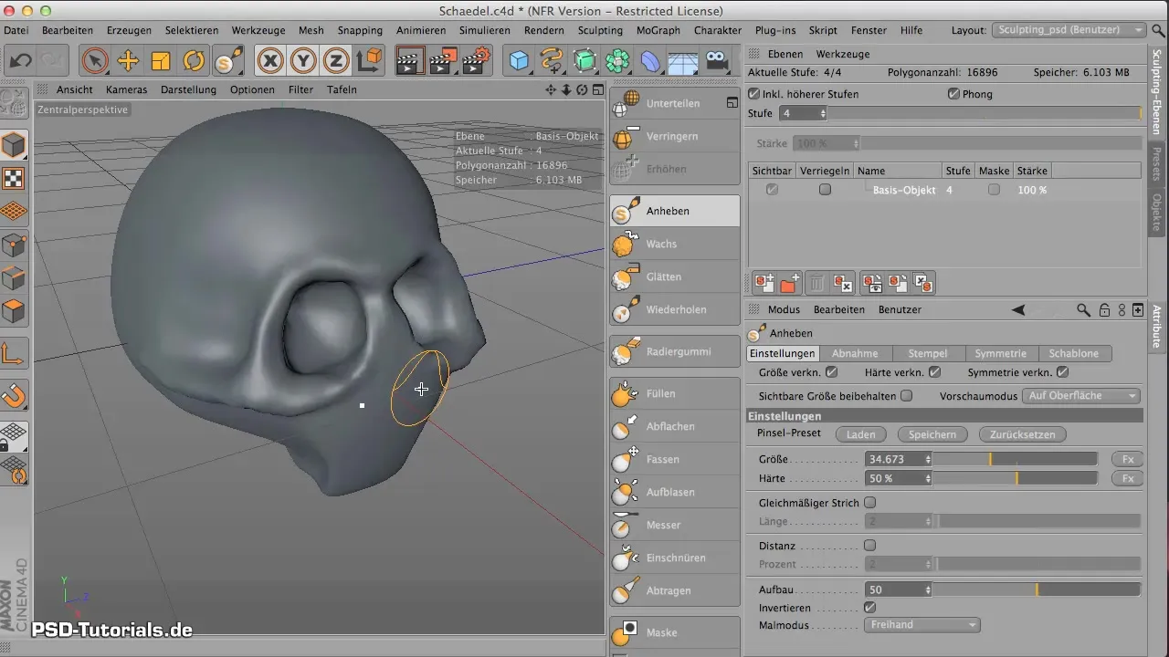 Skull Base Shapes in CINEMA 4D - Step by Step Skull Base Modeling in CINEMA 4D - Step by Step