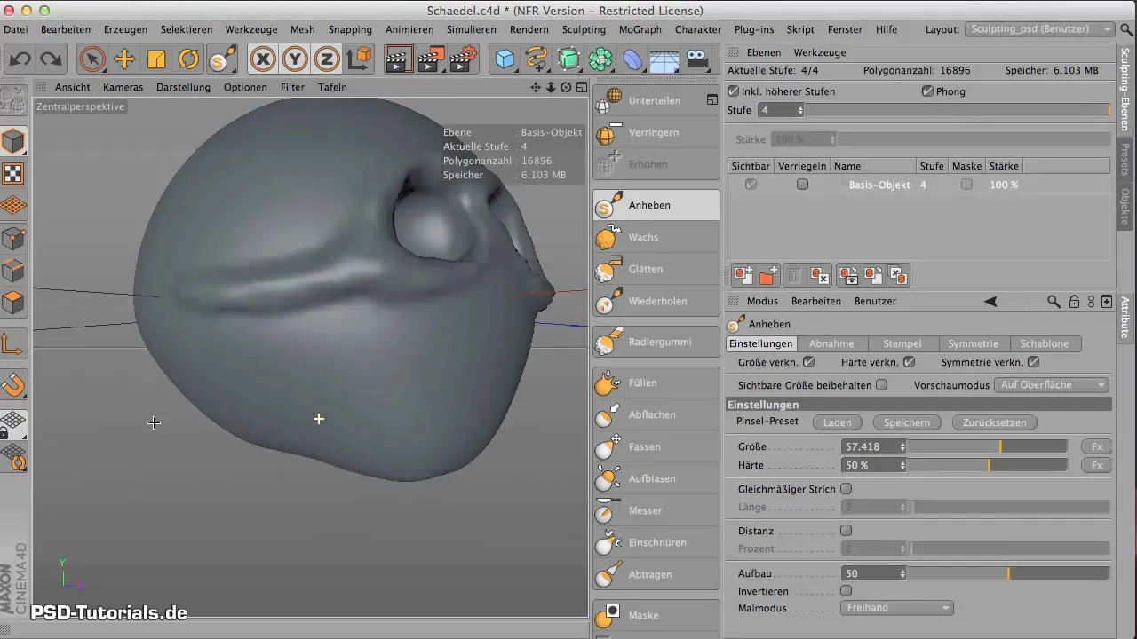 Skull Base Modeling in CINEMA 4D - Step by Step Skull base shapes in CINEMA 4D - Step by step