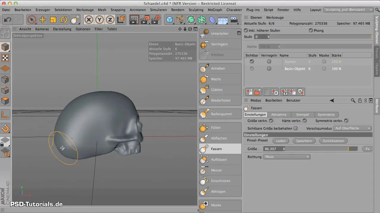 Adjusting Proportions in CINEMA 4D Adjust proportions in CINEMA 4D