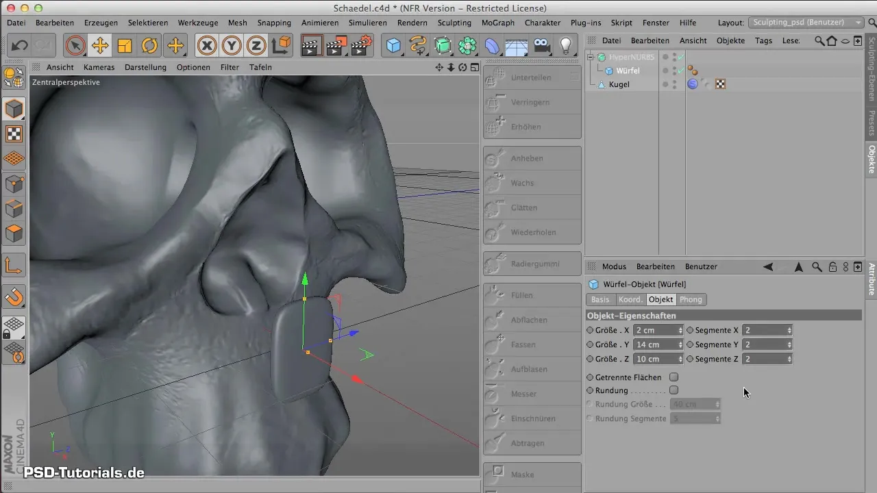 Modeling Teeth in CINEMA 4D – Step-by-Step Guideline Modeling Teeth in CINEMA 4D - Step-by-Step Guideline