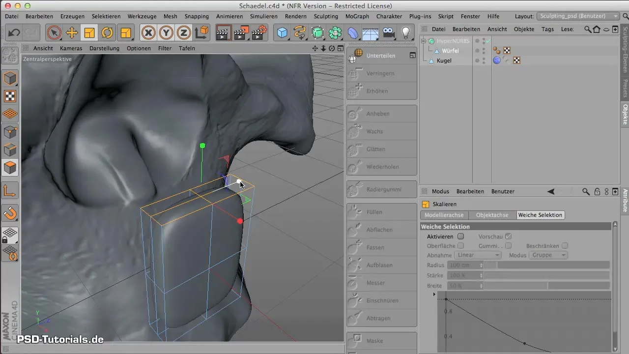 Modeling Teeth in CINEMA 4D – Step-by-Step Guideline Modeling Teeth in CINEMA 4D – Step-by-Step Guideline
