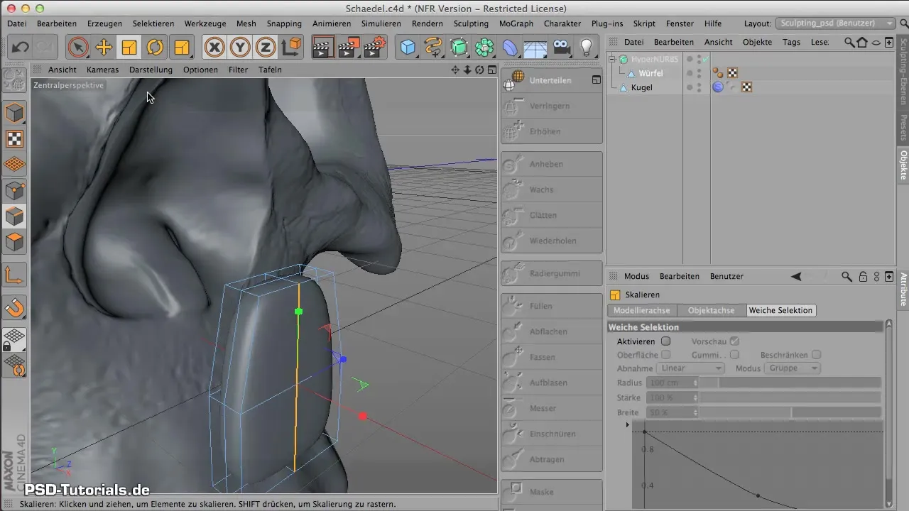 Modeling Teeth in CINEMA 4D – Step-by-Step Guideline Modeling Teeth in CINEMA 4D – Step-by-Step Guideline