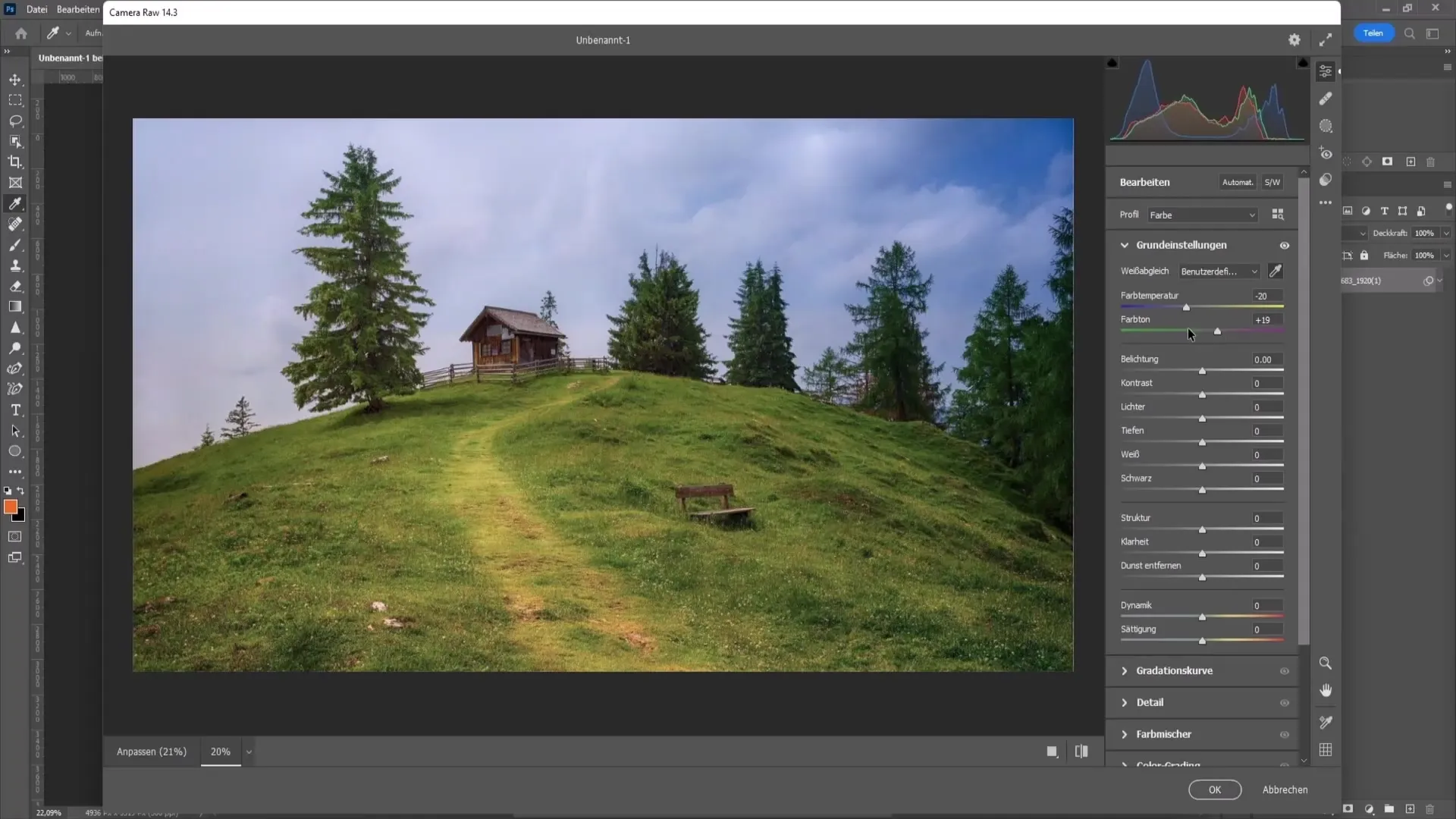 Des tons de couleur parfaits dans Photoshop - Guide pour l'équilibrage des blancs