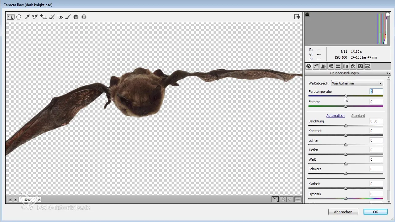 Suunnittele lepakot tehokkaasti Photoshopissa Lentävät asiat tehokkaasti Photoshopissa