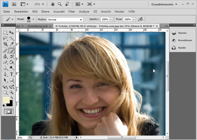 Cut out hair in the best possible way with difficult backgrounds using selection sectors