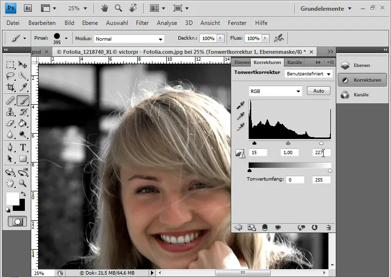 Cut out hair in the best possible way with difficult backgrounds using selection sectors