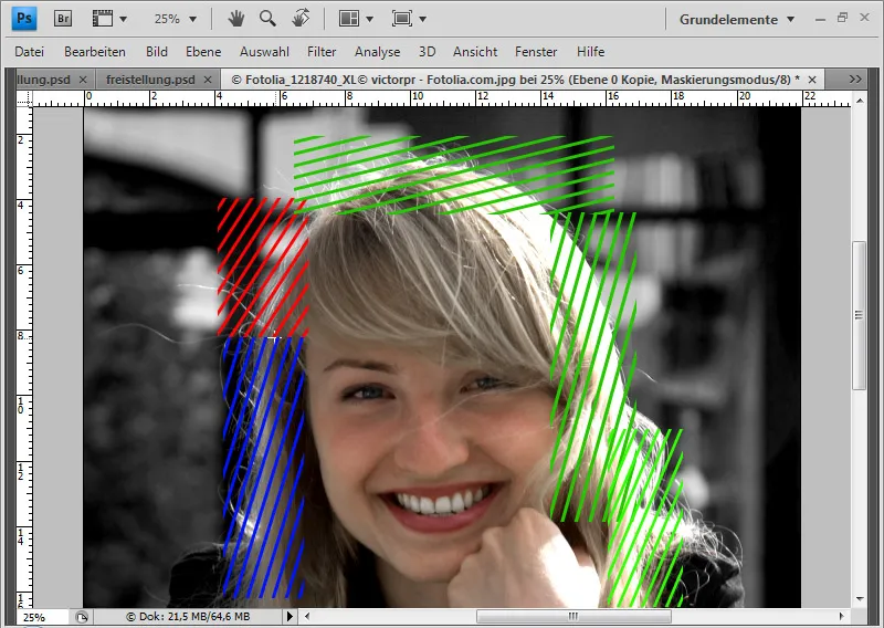 Cut out hair in the best possible way with difficult backgrounds using selection sectors
