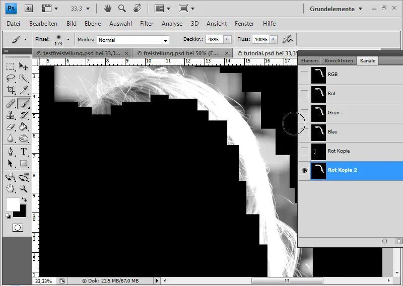 Cut out hair in the best possible way with difficult backgrounds using selection sectors