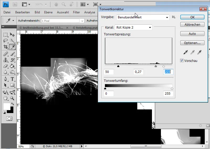Cut out hair in the best possible way with difficult backgrounds using selection sectors