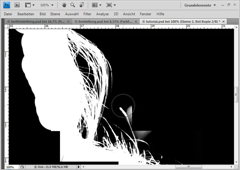 Cut out hair in the best possible way with difficult backgrounds using selection sectors