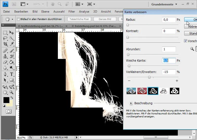 Cut out hair in the best possible way with difficult backgrounds using selection sectors