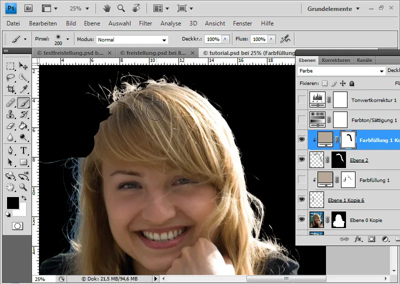 Cut out hair in the best possible way with difficult backgrounds using selection sectors