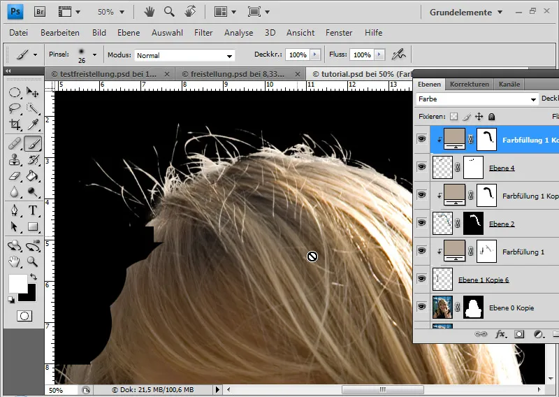 Cut out hair in the best possible way with difficult backgrounds using selection sectors