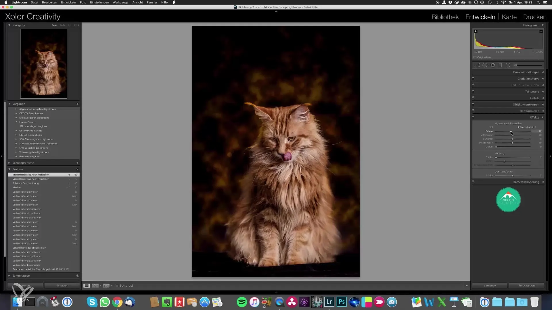Retratos épicos de gatos: fotografía propia – edición de imágenes hecha fácil Retratos épicos de gatos: fotografía y edición de imágenes fácil