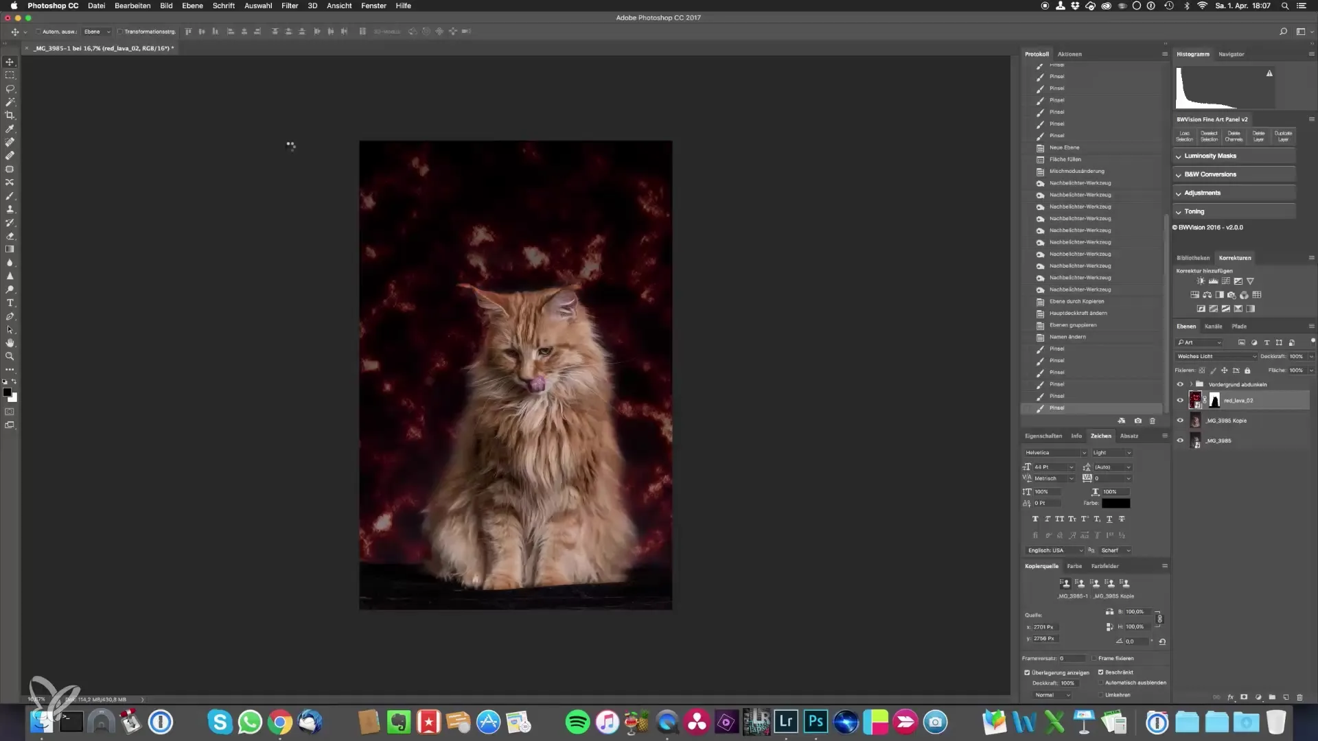 Retratos épicos de gatos: cómo fotografiarlos tú mismo – edición de imágenes fácil Retratar epicas miniaturas de gatos uno mismo - Edición de imágenes hecha fácil