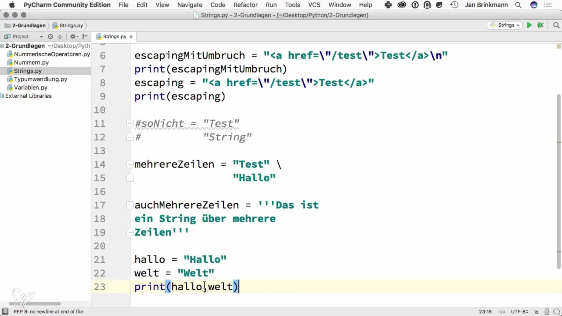 Grundlagen der Strings in Python programmieren Grundlagen der Strings in Python programmieren